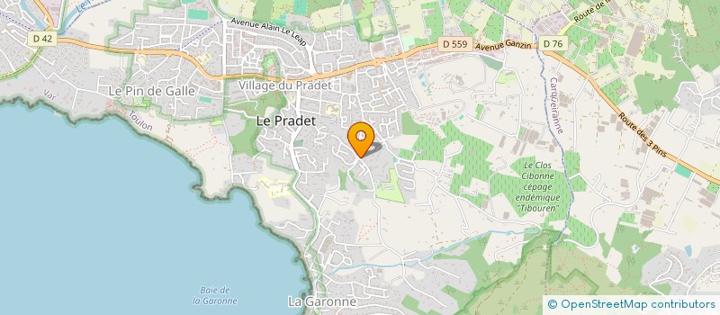 localisation de l'entreprise MADAME KARINE BALVAY  LE PRADET