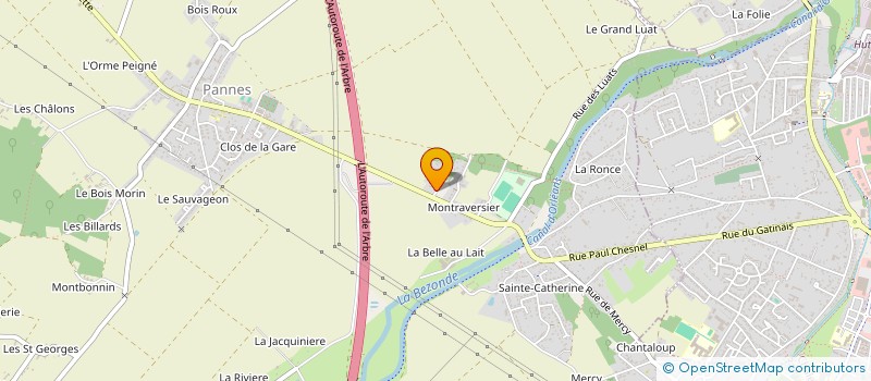 localisation de l'entreprise MADAME KARINE BERGOUGNOUX à MONTARGIS