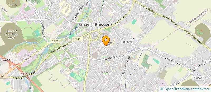 localisation de l'entreprise MADAME KARINE DELALLEAU  BRUAY-LA-BUISSIERE