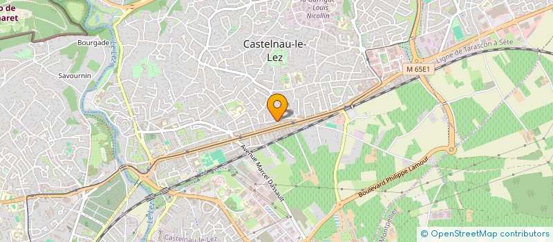 localisation de l'entreprise MADAME KARINE GRUNENWALD  CASTELNAU-LE-LEZ