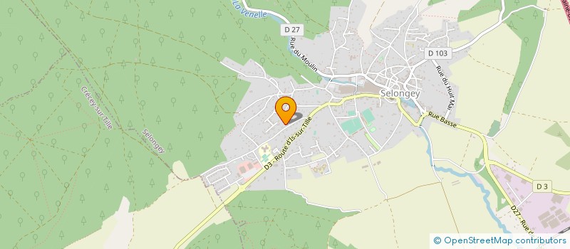 localisation de l'entreprise MADAME KARINE SAUSSIER  SELONGEY