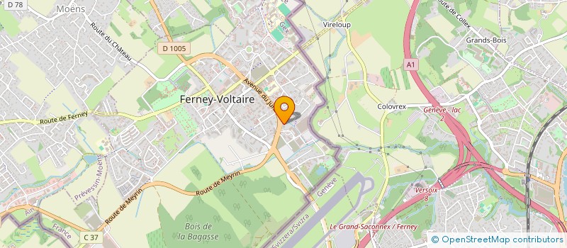 localisation de l'entreprise MADAME KAROLINA BUGAJSKA  FERNEY-VOLTAIRE