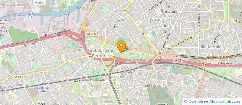 localisation de l'entreprise MADAME KATARZYNA MAZURKIEWICZ à LILLE