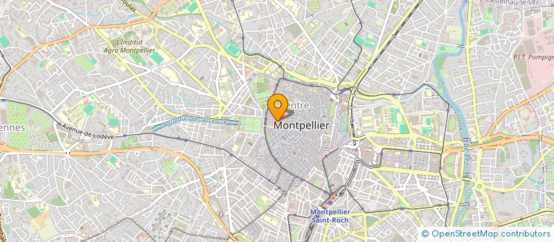 localisation de l'entreprise MADAME KATERINA MIZNEROVA à MONTPELLIER