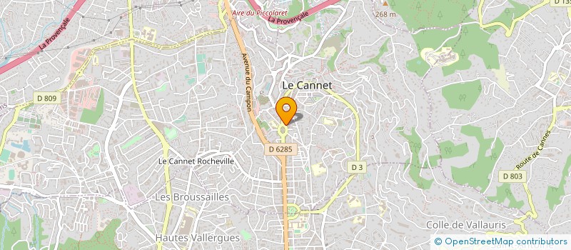 localisation de l'entreprise MADAME KATHLEEN VAILLANT  LE CANNET