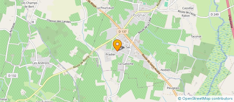 localisation de l'entreprise MADAME KATHY BENESTREAU  PUGNAC