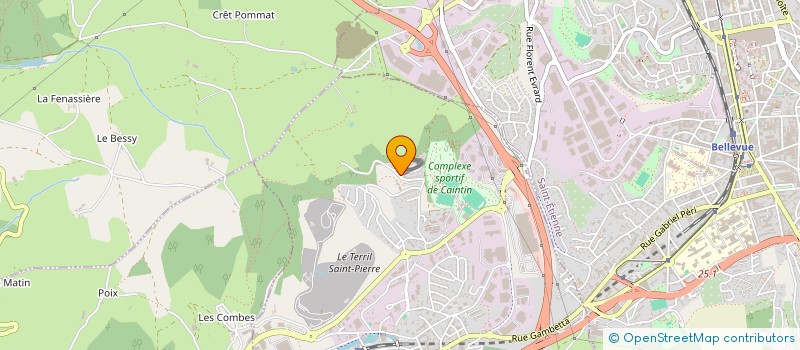 localisation de l'entreprise MADAME KENZA HAIDOUS  LA RICAMARIE