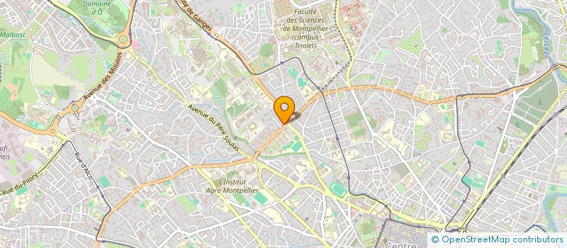 localisation de l'entreprise MADAME KENZA MILADINOVIC à MONTPELLIER