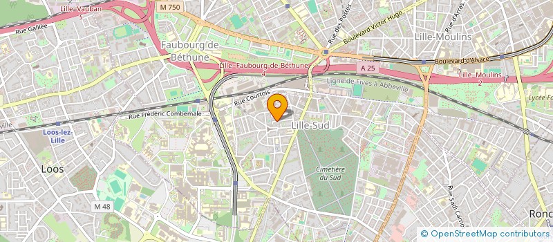 localisation de l'entreprise MADAME KHALED LAIDI à LILLE