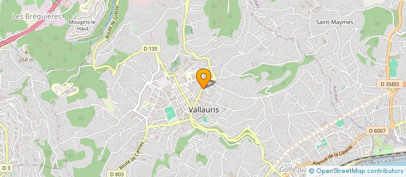 localisation de l'entreprise MADAME KHAOULA BEN SALEM  VALLAURIS