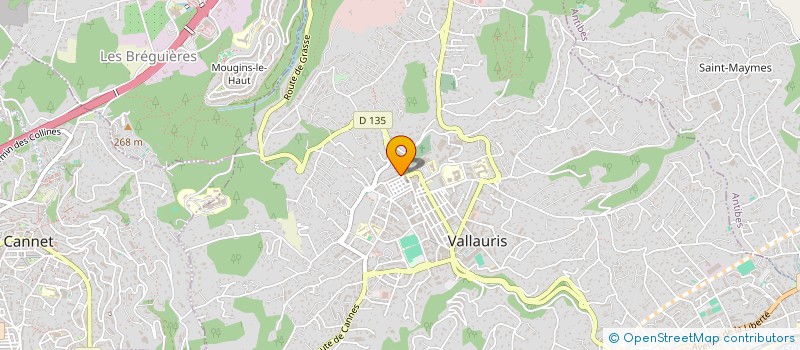 localisation de l'entreprise MADAME KHAOULA WARD  VALLAURIS