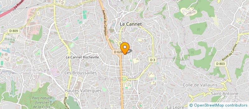 localisation de l'entreprise MADAME KHAVA VISSAITOVA à LE CANNET