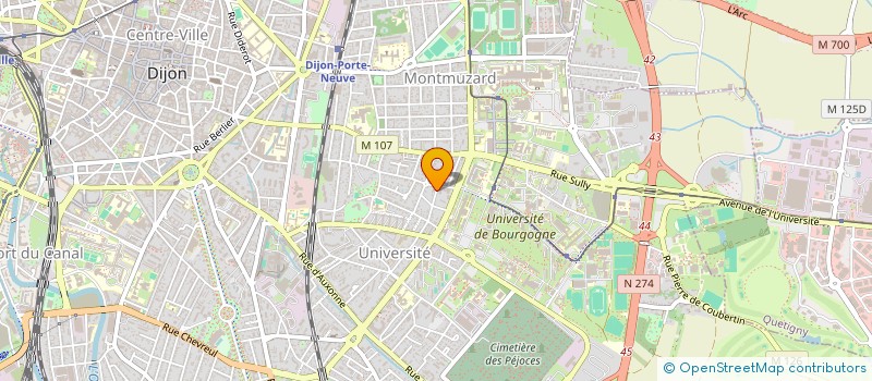 localisation de l'entreprise MADAME KIU LIENG SE à DIJON