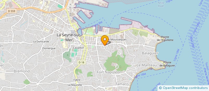 localisation de l'entreprise MADAME KRISTEL LEONE  LA SEYNE-SUR-MER