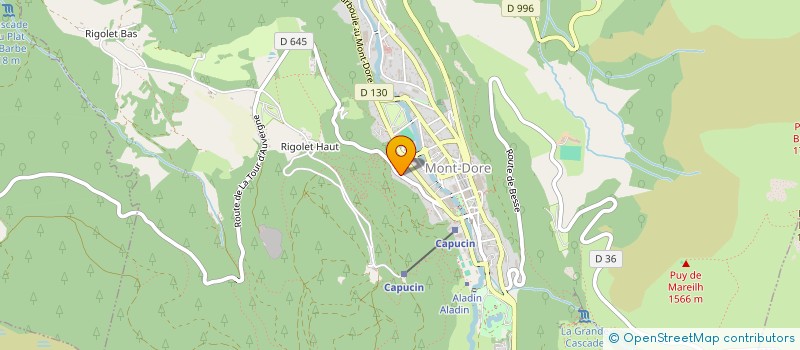 localisation de l'entreprise MADAME KRISTEL THOMAS  MONT-DORE