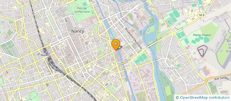 localisation de l'entreprise MADAME LACRAMIOARA TURCANU  NANCY