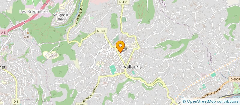 localisation de l'entreprise MADAME LAETITIA BADOT-LIPRANDI  VALLAURIS