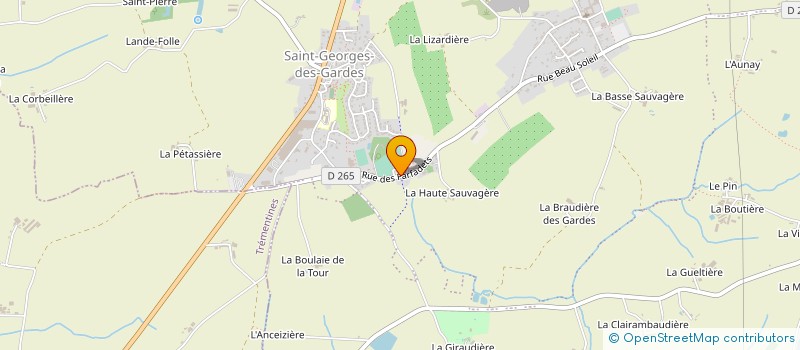 localisation de l'entreprise MADAME LAETITIA BIZON  CHEMILLE-EN-ANJOU