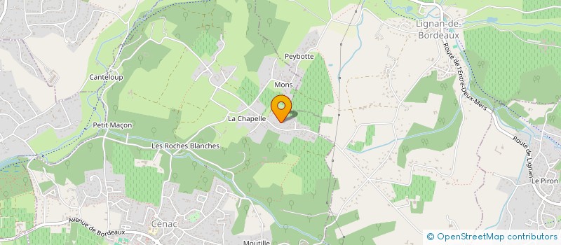 localisation de l'entreprise MADAME LAETITIA BORJON  CENAC