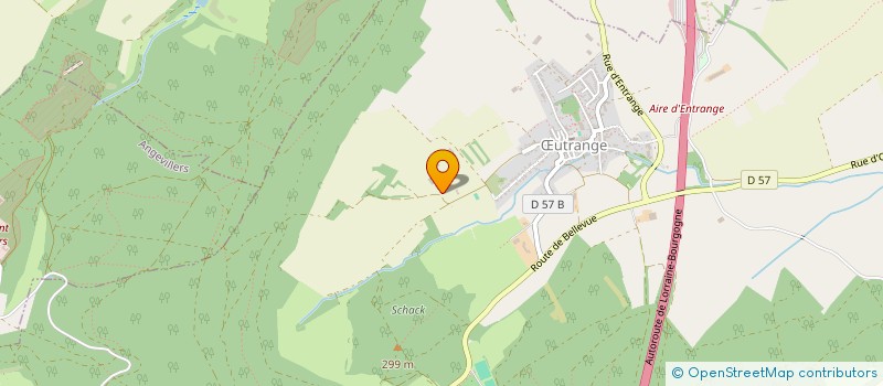 localisation de l'entreprise MADAME LAETITIA CLEMENT  THIONVILLE