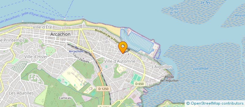 localisation de l'entreprise MADAME LAETITIA DALIX  ARCACHON