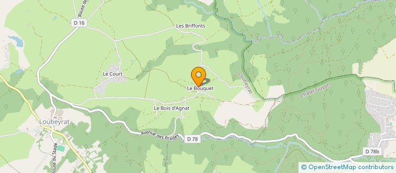 localisation de l'entreprise MADAME LAETITIA DAMON  LOUBEYRAT