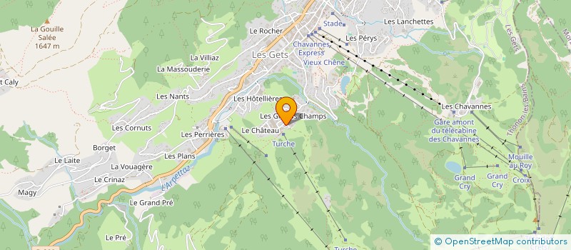 localisation de l'entreprise MADAME LAETITIA DEFFAYET  LES GETS