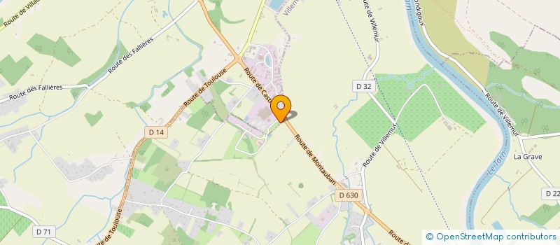 localisation de l'entreprise MADAME LAETITIA DELAERE  VILLEMUR-SUR-TARN