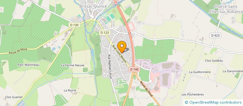 localisation de l'entreprise MADAME LAETITIA DELANOE  BRISSAC LOIRE AUBANCE