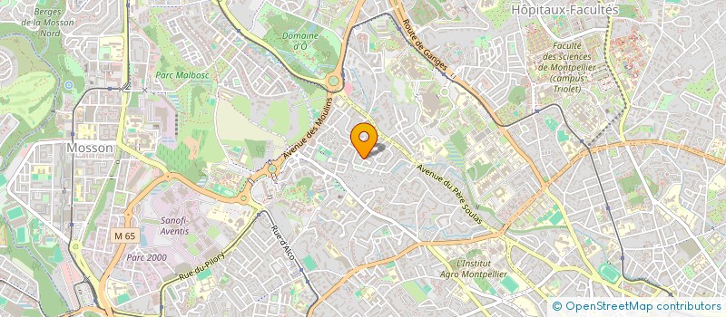 localisation de l'entreprise MADAME LAETITIA DESCOURTY à MONTPELLIER