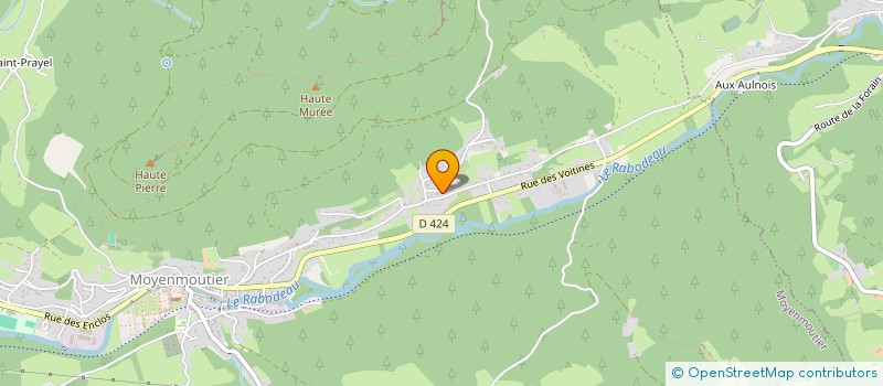 localisation de l'entreprise MADAME LAETITIA DURANT  MOYENMOUTIER