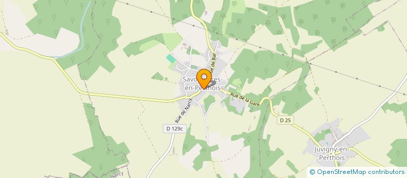 localisation de l'entreprise MADAME LAETITIA FIGUEIREDO à SAVONNIERES-EN-PERTHOIS