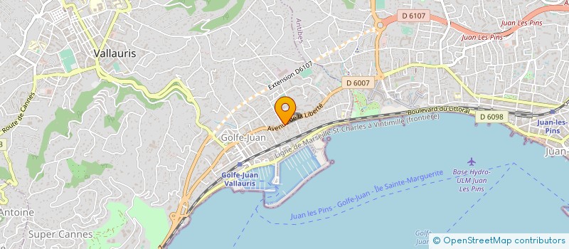 localisation de l'entreprise MADAME LAETITIA GUILLERMIN  VALLAURIS