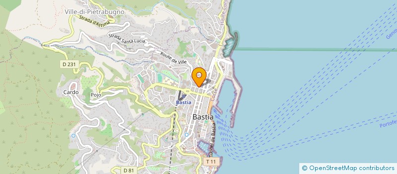 localisation de l'entreprise MADAME LAETITIA LENCI à BASTIA