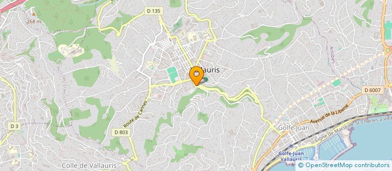 localisation de l'entreprise MADAME LAETITIA LEONETTI  VALLAURIS