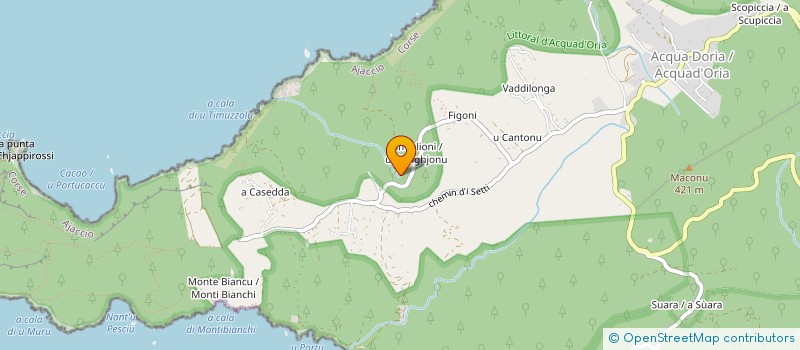 localisation de l'entreprise MADAME LAETITIA LEONI  COTI-CHIAVARI