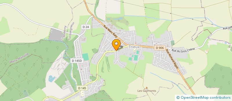 localisation de l'entreprise MADAME LAETITIA MUSZYNSKI  TRIEUX