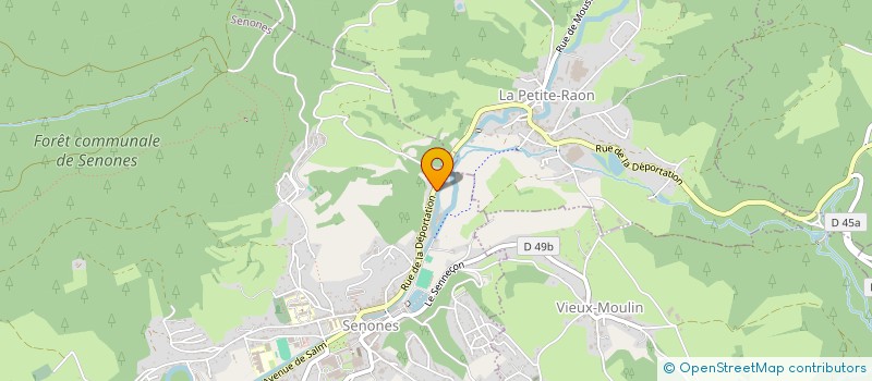 localisation de l'entreprise MADAME LAETITIA NICOLAS  LA PETITE-RAON