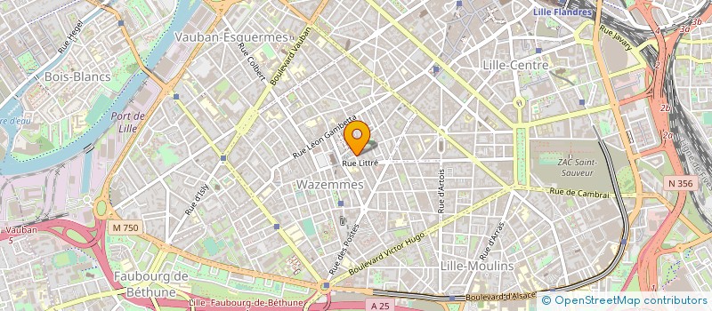 localisation de l'entreprise MADAME LAETITIA NIVAIGNE  LILLE