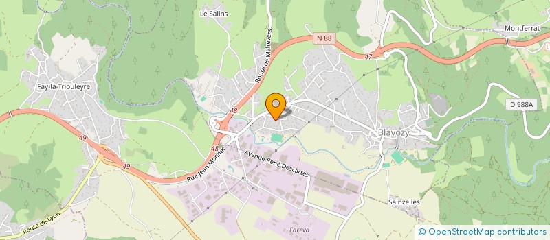 localisation de l'entreprise MADAME LAETITIA RANDIER  BLAVOZY