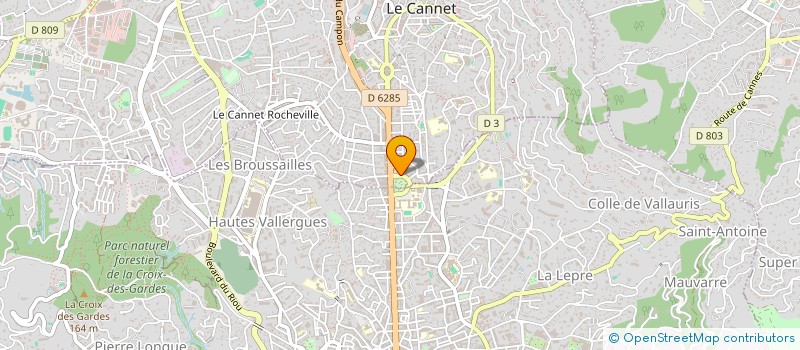 localisation de l'entreprise MADAME LAETITIA REBOUX à LE CANNET