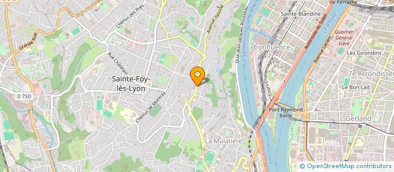 localisation de l'entreprise MADAME LAETITIA RICHARD-VITTON  SAINTE-FOY-LES-LYON