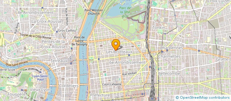 localisation de l'entreprise MADAME LAETITIA RODARIE  LYON