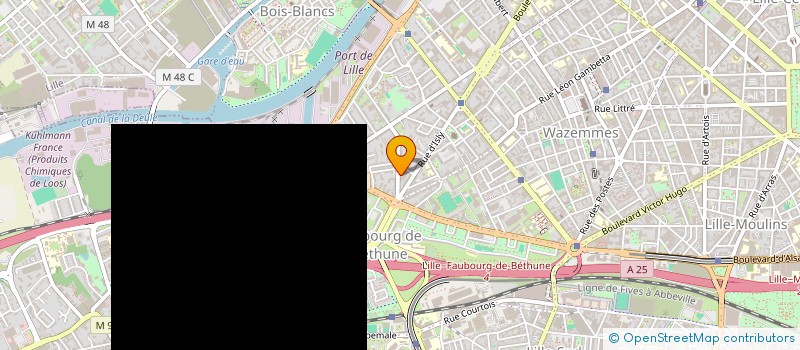 localisation de l'entreprise MADAME LAETITIA SEGONZAC à LILLE