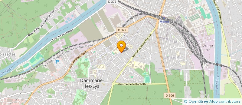 localisation de l'entreprise MADAME LAETITIA TONIOLO à DAMMARIE-LES-LYS