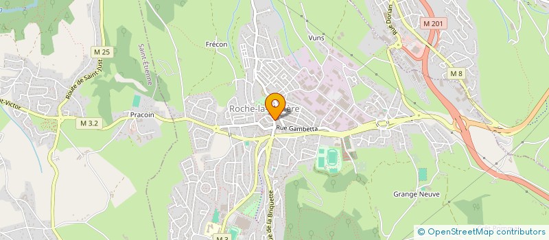 localisation de l'entreprise MADAME LAETITIA TORRALVO  ROCHE-LA-MOLIERE