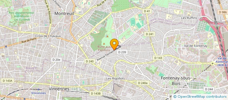 localisation de l'entreprise MADAME LAIANE BORGES MATINS  FONTENAY-SOUS-BOIS