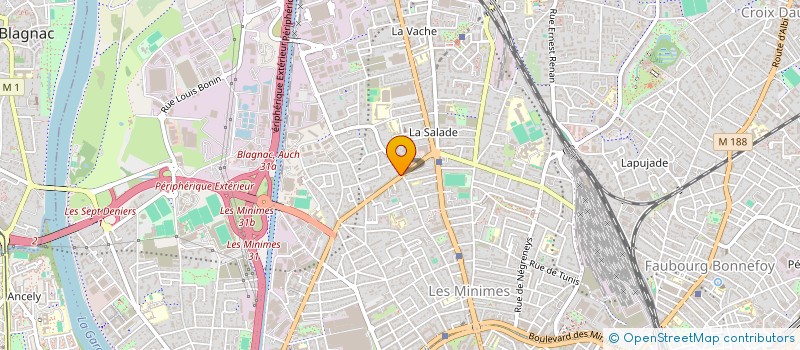 localisation de l'entreprise MADAME LAILA BELARREM à TOULOUSE
