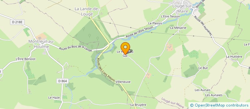 localisation de l'entreprise MADAME LAITITIA LENOIR à LOUGE SUR MAIRE
