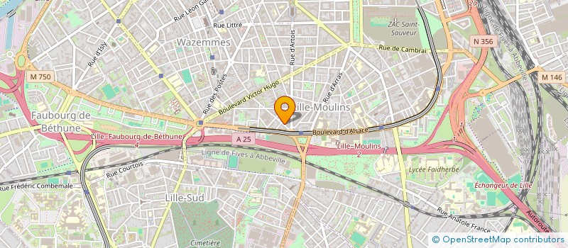 localisation de l'entreprise MADAME LAMIA BELKHIS à LILLE